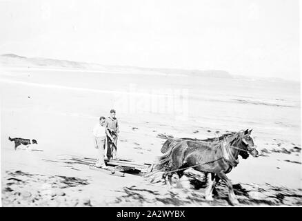 Negative - Phillip Island, Victoria, ca. 1935, zwei Männer auf einem von Pferden gezogenen Schlitten auf den Strand. Der Schlitten zu sein scheint einige Längen von Holz. Es ist ein Hund auf der linken Seite Stockfoto