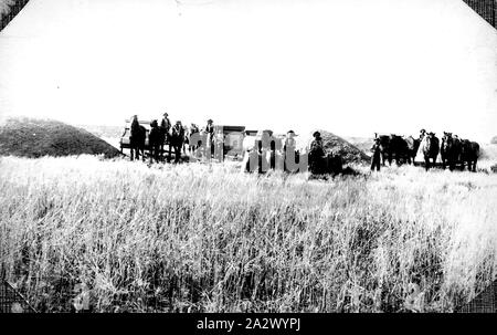 Negative - New South Wales, ca. 1895, mit einem Betrieb auf 'Murray Wohnungen' Station Stockfoto