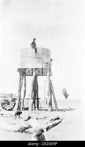 Negative - nhill Bezirk, Victoria, 1920, Anheben einer Wasser-Tank auf einen Stand auf Heatherlea Farm. Der Tank ist jetzt ein Mann wird auf es sitzt Stockfoto