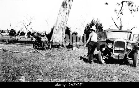 Negative - chetwynd Bezirk, Victoria, 1937, Männer schneiden Red Gums mit einem English Deuitcher auto Logger auf 'Glenelg Vale' Station Stockfoto