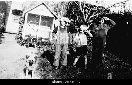 Negative - Golden Square, Bendigo, Victoria, ca. 1933, drei kleine Jungs mit Spielzeugpistolen und salutierte. Es ist ein Hund auf der linken Seite und ein Pedal Car und Voliere im Hintergrund Stockfoto