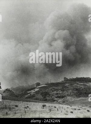 Foto-Kommission Elektrizität, Buschfeuer, Victoria, ca. 1930er Jahre, Teil eines großen fotografischen Sammlung von Glas- und Filmnegative, Fotos und Fotoalben, im Zusammenhang mit der Entwicklung der elektrischen Energieversorgung Industrie in Victoria, von der Staatlichen Kommission Elektrizität von Victoria (SECV) von 1919 bis 1993 und verschiedene Vorgänger private und kommunale Stromversorgung Unternehmen zurück bis in die späten 1880 s betrieben Stockfoto