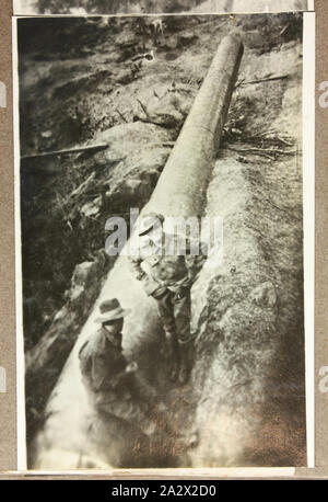 Fotografie - Küstenschutz Gewehr, Fahrer Cyril Rose, der Erste Weltkrieg, 1916-1919, einer der 129 Welt krieg ich wahrscheinlich durch den Fahrer Cyril Rose, AIF genommen worden zu sein. Rose war ein Fahrer in der ersten australischen Hilfs mechanischer Transport Unternehmen gemacht werden, bevor der zweite Australier gg Mechanischer Transport Unternehmen, wenn in Frankreich. Er segelte von Melbourne am 22. Dezember 1916 auf der Persic, Ankunft in England im März 1917. Im Juni wurde er in Frankreich gesendet Stockfoto