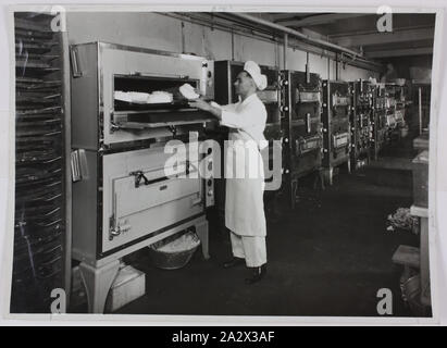 Fotografie - Hecla Elektrik Pty Ltd., Öfen in den Einsatz in der industriellen Küche, ca. 1930er Jahre, schwarz-weiß Foto eines industriellen Küche mit einer langen Reihe von Hecla elektrische Öfen ca. 1930er Jahre. Ein Koch ist im Vordergrund. Dieses Foto ist von einem Album mit 255 schwarz-weiß Fotos, Elektrogeräte, Showroom zeigt, Fabrik Interieur- und Werbematerial im Zusammenhang mit Hecla Elektrik Pty Ltd. ist Teil der Hecla Sammlung von Fotografien Stockfoto