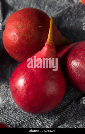 Rohe Rote organische Anjou Birnen in einem Bündel Stockfoto