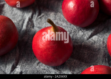 Rohe Rote organische Anjou Birnen in einem Bündel Stockfoto