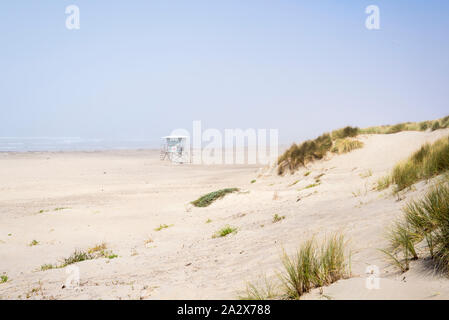 Nebligen Nachmittag am Morro Rock Beach. Morro Bay, Kalifornien, USA. Stockfoto