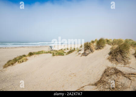 Nebligen Nachmittag am Morro Rock Beach. Morro Bay, Kalifornien, USA. Stockfoto