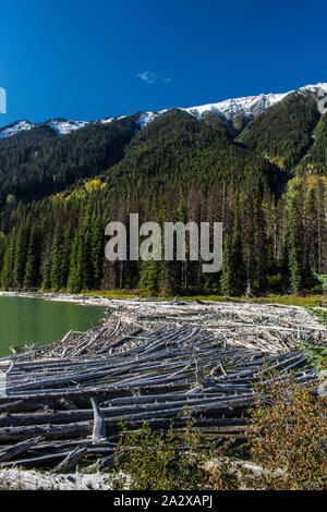 Duffey Lake logs #7217 BC Kanada Stockfoto