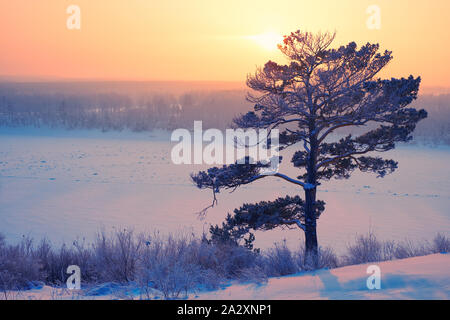 Sonne über einsame Kiefern- und sibirischen Fluss Tom unter dem Schnee und Eis am Abend Sonnenuntergang im Winter Saison. Stockfoto