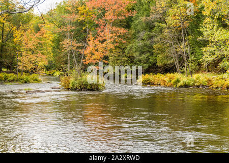 Cordova und Healey Falls Conservation Area Algonquin Highlands Havelock Ontario Kanada im Herbst Stockfoto