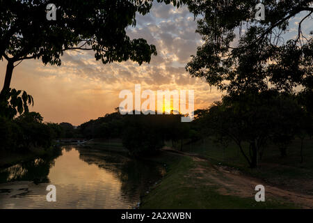 2019, September. Indaiatuba, Brasilien. sunett in der Nähe des Flusses, in der Ökologische Park (Parque Ecologico). Stockfoto