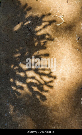 Seltsame Schatten im Bild für den Hintergrund verwenden mit Kopie Raum Stockfoto