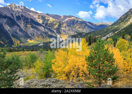 Colorado am Straßenrand in der Nähe von Twin Lakes im Herbst Farbe Stockfoto