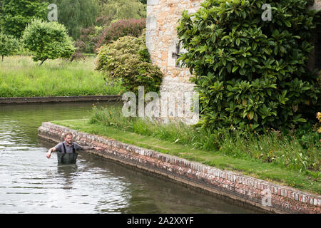 Hever Castle moat mit Gärtner in Wathosen in der Taille - tiefes Wasser. Rubrik das Wasser frei zu halten, verwurzelt Unkraut/Seerosen ziehen. Horizontale. Stockfoto