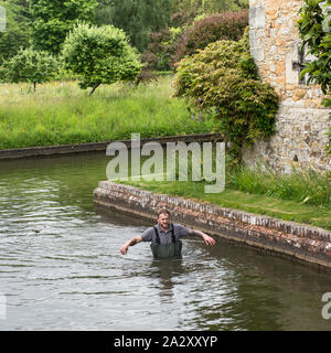 Hever Castle moat mit Gärtner in Wathosen in der Taille - tiefes Wasser. Rubrik das Wasser frei zu halten, verwurzelt Unkraut/Seerosen ziehen. Blick auf den Platz. Stockfoto