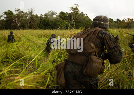 Us-Marines und Matrosen mit 2Nd Battalion, 2nd Marine Regiment, derzeit um die 3. Marine Division zugeordnet, und Mitglieder der malaysischen Streitkräften (MAF) Durchführung einer amphibischen Angriff während der Übung Tiger Streik 2019 im Blue Beach, Malaysia, am Okt. 2, 2019. Tiger Streik 19 konzentriert sich auf die Stärkung der gemeinsamen militärischen Interoperabilität und zunehmende Bereitschaft von Üben für humanitäre Hilfe, Katastrophenhilfe, Amphibischen und Jungle warfare Operationen, die alle während der Förderung des kulturellen Austauschs zwischen der MAF und der US Navy, Marine Corps Team. (U.S. Marine Corps Foto von Cpl. Josue Ma Stockfoto