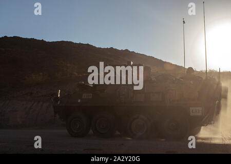 M1126 Stryker, in den zweiten Bataillon zugeordnet, 23 Infanterie Regiment, 4 Infanterie Division, Köpfe zu einer Baugruppe für folgen auf Missionen während der entscheidenden Aktion Rotation 20-01 am National Training Center in Fort Irwin, Kalifornien, USA, 27. September 2019 vorzubereiten. Entscheidende Maßnahmen Drehungen am NTC sicher Armee Brigade Combat Teams vielseitig bleiben, reaktionsschnell und konsequent für aktuelle und zukünftige Eventualitäten zur Verfügung. (U.S. Armee Foto: Staff Sgt. Matthew Johnson, Operations, National Training Center) Stockfoto