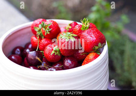 Eine weiße Schüssel voller saftiger Erdbeeren und Kirschen neben einem Garten Stockfoto