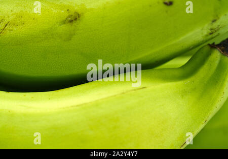 Grüne Bananen auf weißen Tisch Nahaufnahme Stockfoto