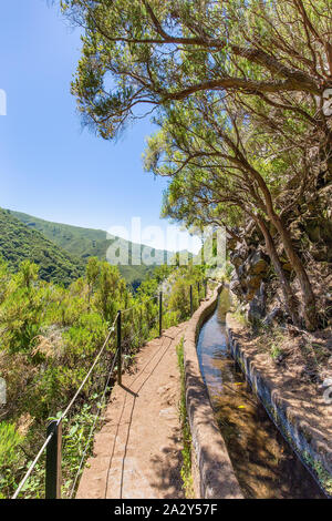 Portugiesische Landschaft mit levada und Bäume auf Madeira Stockfoto