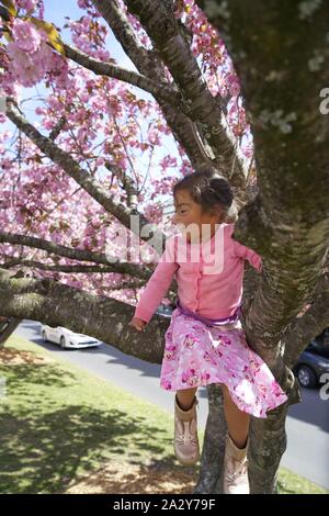 Kleine Mädchen in Rosa im Cherry Tree Stockfoto