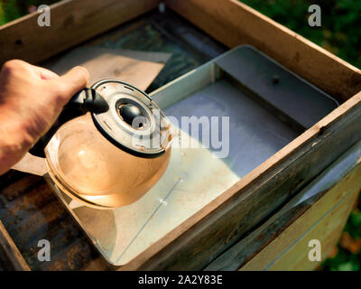 Eine Hand gießen Zucker Sirup in eine Bienen Feeder, Outdoor close-up Stockfoto