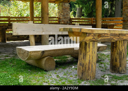 Picknick im Wald, ruhige Lage zum Entspannen in der Natur Stockfoto