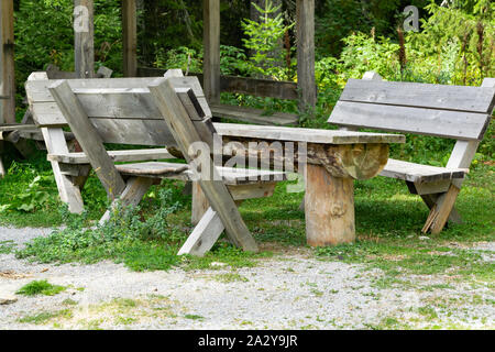 Picknick im Wald, ruhige Lage zum Entspannen in der Natur Stockfoto