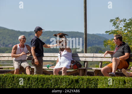 Milandes, Frankreich - 4 September, 2018: die Touristen sehen das Zeigen der Greifvögel im Chateau Les Milandes, eine Burg in der Dordogne, Aquitaine, F Stockfoto