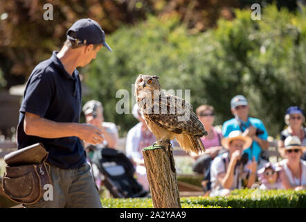 Milandes, Frankreich - 4 September, 2018: die Touristen sehen das Zeigen der Greifvögel im Chateau Les Milandes, eine Burg in der Dordogne, Aquitaine, F Stockfoto