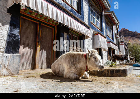 Erstaunlich Tibet Stockfoto