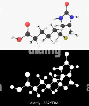 3D-Darstellung eines Vitamin B7-Molekül mit alpha Schicht Stockfoto