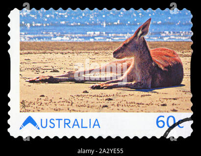 Australien - ca. 2011: Eine Briefmarke zeigt gedruckte ibn Australien Kangaroo am Strand, ca. 2011 Stockfoto