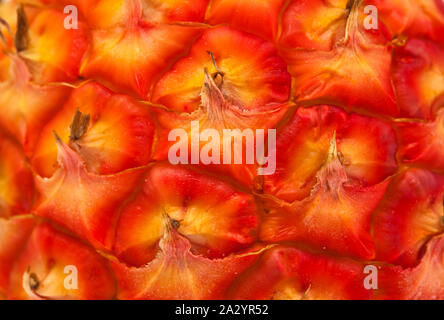 Ananas von der kleinen Insel El Hierro, Kanaren, eine der bedeutendsten lokalen Produkten, Hintergrund Stockfoto