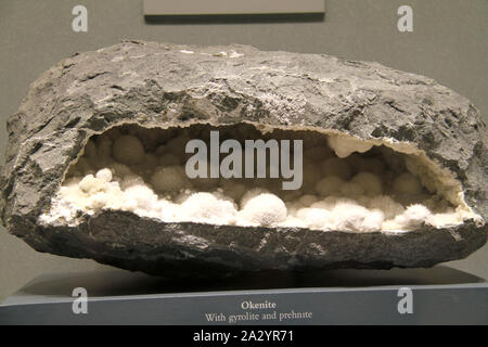 Okenite Steine am National Museum of Natural History in Washington DC, USA angezeigt Stockfoto