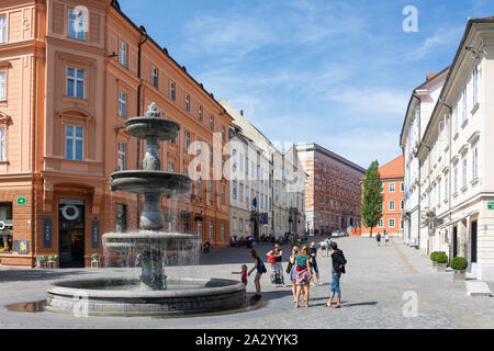 Brunnen in neue Platz (Novi Trg), Altstadt, Ljubljana, Slowenien Stockfoto