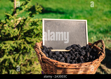 Korb voller ovaler schwarzer Pflaumen auf dem Feld Stockfoto