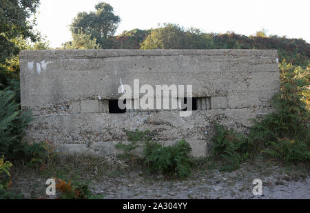 Weltkrieg zwei Bunker auf England Ostküste mit zwei Lücken nach vorne und von Bäumen, Sträuchern und Adlerfarn mit einem leichten grauen Himmel umgeben. Stockfoto