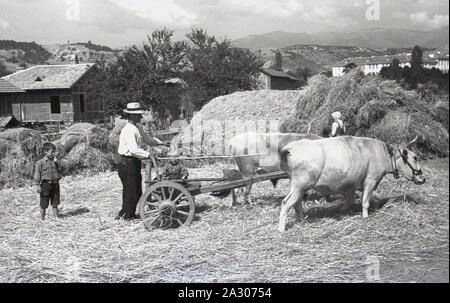 1930er Jahre, historisch, Vorkriegs-Osteuropa, Jugoslawien, ein Bauer mit seinen Kindern und Ochsen, der einen zweirädrigen Holzwagen zieht. In dieser Zeit war ein großer Teil (75 %) des Landes in der Landwirtschaft tätig, meist Kleinbetriebe und Bauern, es gab nur wenige große kommerisative Betriebe. Die Balkanregion wird von drei großen Gebirgszügen dominiert, darunter die Dinarischen Alpen der Balkanhalbinsel. Stockfoto