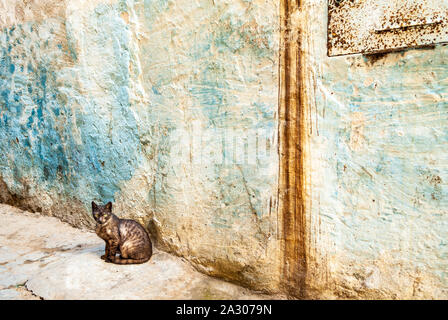 Im ehemaligen jüdischen Viertel von Mellah in Essaouira, Marokko, eine Katze steht vor einer Wand mit einer tropfenden Rost. Blaue Farbe bleibt sichtbar. Stockfoto