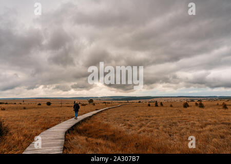 Kinderwagen im Naturschutzgebiet Hohes Venn, Belgien. Stockfoto