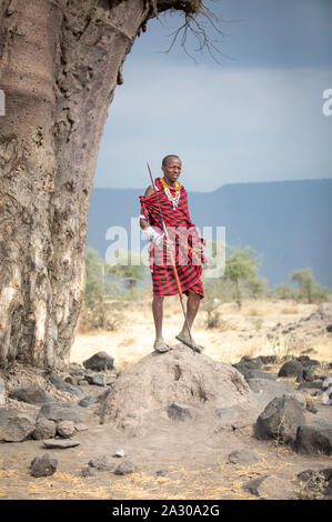 Arusha, Tansania, 7. September 2019: Masai Krieger in einer Landschaft des nördlichen Tansania: Savanne Stockfoto