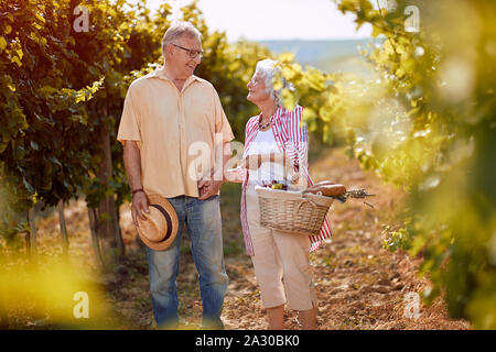 Wein und Trauben. Ernte Trauben. Senior Paar im Weinberg feiern Ernte Weintrauben Stockfoto