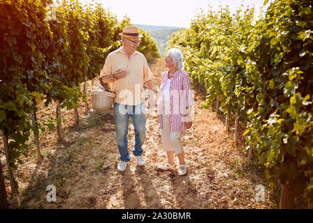 Wein und Trauben. Ernte Trauben. Gerne älteres Paar mit grape Korb im Weinberg Stockfoto