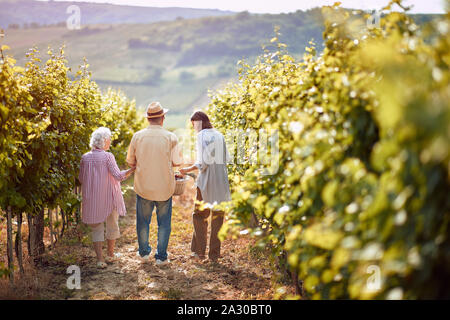 Reife Trauben im Weinberg. Familie Weinberg. Happy Family wandern in zwischen den Reihen von Reben zusammen Stockfoto