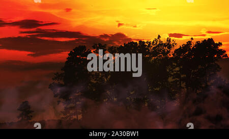 Eine in warmen Farbtönen auf einem bunten Sonnenuntergang. Stockfoto