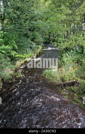 Blick auf den Fluss Holme laufen durch das Zentrum von Holmfirth, einer kleinen Stadt in West Yorkshire berühmt für die letzten Sommer Wein BBC sitcom Stockfoto