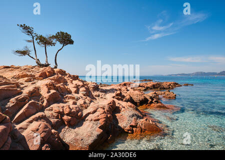 Die roten Felsen von Palombaggia Strand/Plage de Palombaggia, einem beliebten Scenic, klares Wasser, weißer Sandstrand, immergrüne Bäume im Südosten von Korsika Frankreich Stockfoto