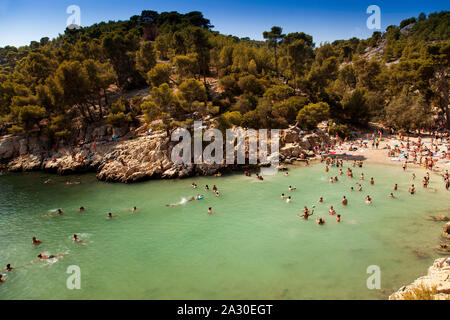 Badeurlauber am Strand in der Bucht Calanque de Port-Pin, Nationalpark Calanques, Cassis, Département Bouches-du-Rhône, Provence - Alpes - Côte d'Azur, Fr Stockfoto